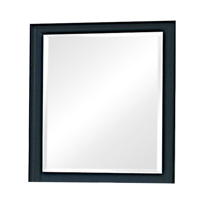 Sandy Beach Vertical Dresser Mirror Black - U&U Home Budget Furniture (Carteret, NJ)
