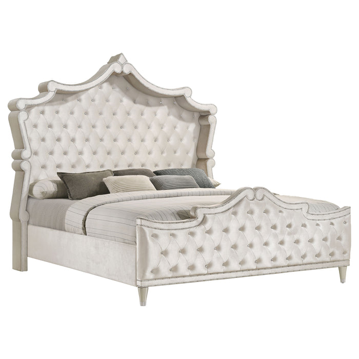 Antonella Beds - U&U Home Budget Furniture (Carteret, NJ)