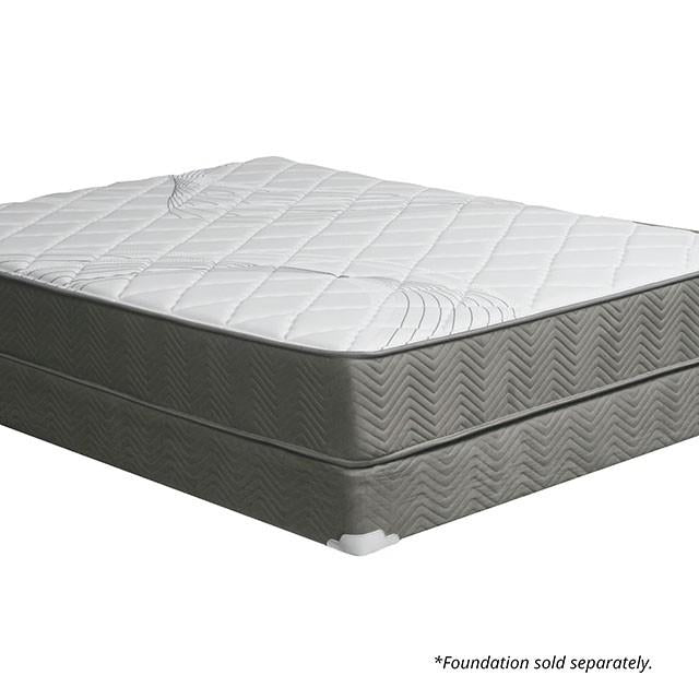 Edrea 10 Tight Top Pocket Coil - U&U Home Budget Furniture (Carteret, NJ)