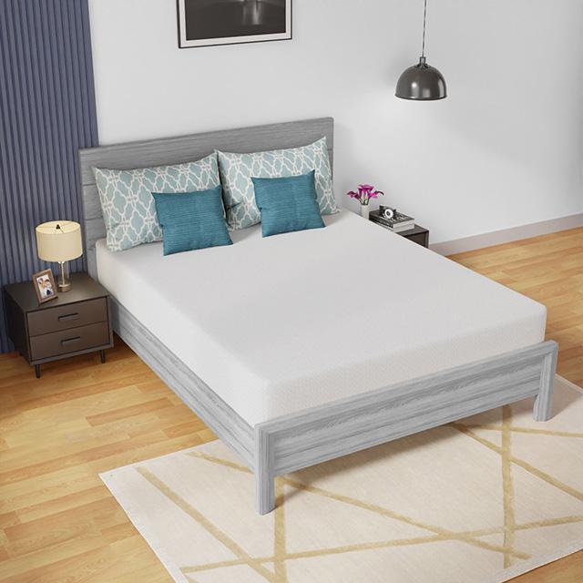 Coreopsis Mattress - U&U Home Budget Furniture (Carteret, NJ)