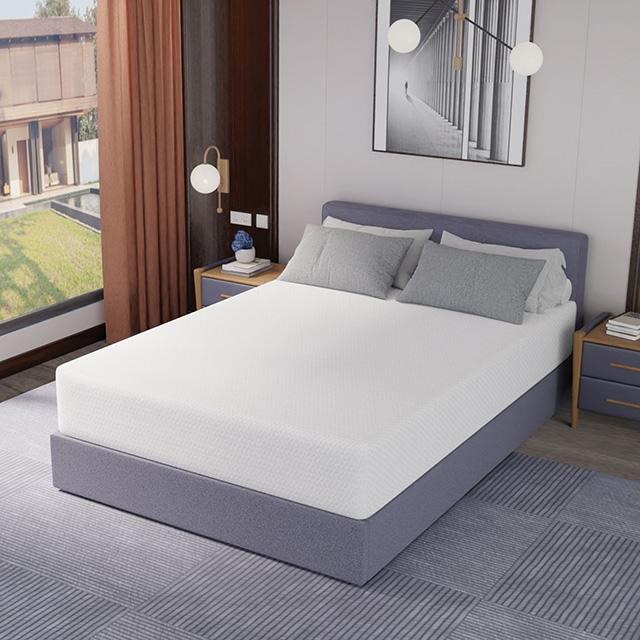 Forsythia 12" Queen Green Tea Gel Memory Foam - U&U Home Budget Furniture (Carteret, NJ)