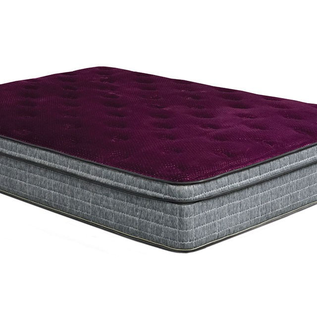 Minnetonka 13" Euro Pillow Top Mattress - U&U Home Budget Furniture (Carteret, NJ)