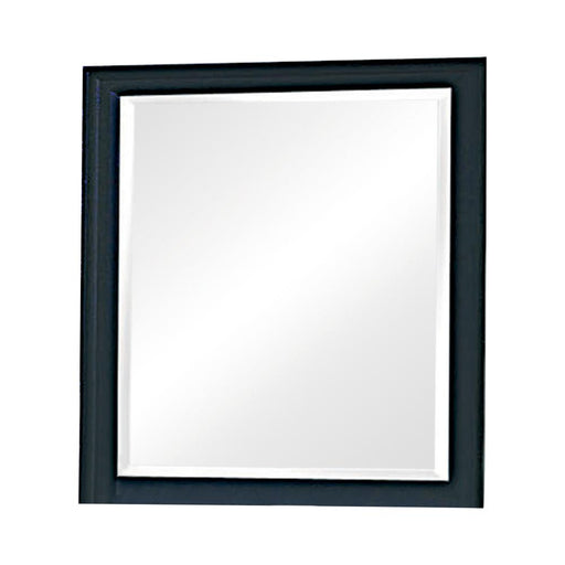 Sandy Beach Vertical Dresser Mirror Black - U&U Home Budget Furniture (Carteret, NJ)