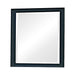 Sandy Beach Vertical Dresser Mirror Black - U&U Home Budget Furniture (Carteret, NJ)