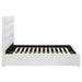 Felicity Beds - U&U Home Budget Furniture (Carteret, NJ)