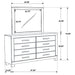 Woodmont Dresser With Mirror - U&U Home Budget Furniture (Carteret, NJ)