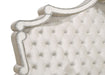 Antonella Queen Beds - U&U Home Budget Furniture (Carteret, NJ)