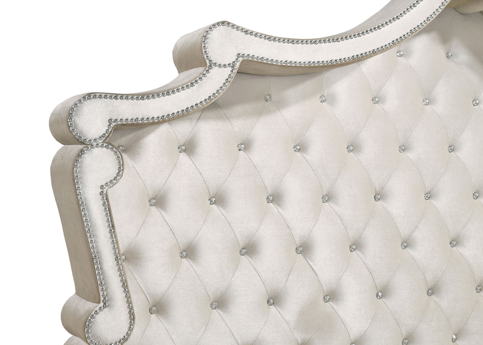 Antonella Queen Beds - U&U Home Budget Furniture (Carteret, NJ)