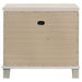 Olivia Nightstand - U&U Home Budget Furniture (Carteret, NJ)