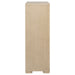 Ladera Chests - U&U Home Budget Furniture (Carteret, NJ)