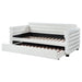 Patricia Daybed - U&U Home Budget Furniture (Carteret, NJ)