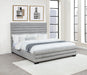 Patricia Beds - U&U Home Budget Furniture (Carteret, NJ)