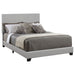 Dorian Beds 5 - U&U Home Budget Furniture (Carteret, NJ)