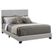 Dorian Upholstered California King, E.King, & Queen Bed Black, Brown, & Grey - U&U Home Budget Furniture (Carteret, NJ)