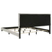 Dorian Beds 2 - U&U Home Budget Furniture (Carteret, NJ)