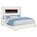 Tisdall Beds - U&U Home Budget Furniture (Carteret, NJ)