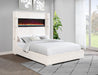 Tisdall Beds - U&U Home Budget Furniture (Carteret, NJ)