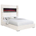Tisdall Beds - U&U Home Budget Furniture (Carteret, NJ)