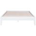 Hounslow Platform Bases - U&U Home Budget Furniture (Carteret, NJ)