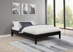 Hounslow Platform Bases - U&U Home Budget Furniture (Carteret, NJ)