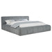 Wilshire California King, E.king, & Queen Bed - U&U Home Budget Furniture (Carteret, NJ)