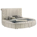 Sonya Eastern King & Queen Bed - U&U Home Budget Furniture (Carteret, NJ)