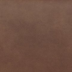 Status Check Recliner - U&U Home Budget Furniture (Carteret, NJ)