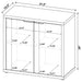Pepita Accent Cabinet - U&U Home Budget Furniture (Carteret, NJ)