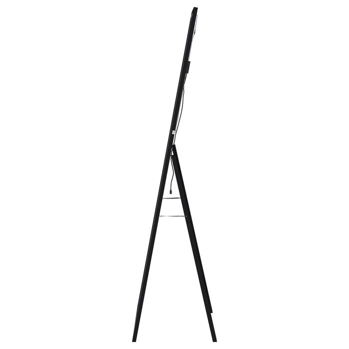 Windrose Standing Mirror - U&U Home Budget Furniture (Carteret, NJ)
