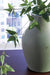 Baychester Vase - U&U Home Budget Furniture (Carteret, NJ)