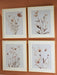 Chettings Wall Art (Set of 4) - U&U Home Budget Furniture (Carteret, NJ)