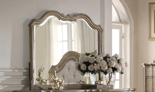 Acme Chelmsford Landscape Mirror in Antique Taupe 26054 - U&U Home Budget Furniture (Carteret, NJ)