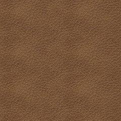 Bolsena Sofa Sleeper - U&U Home Budget Furniture (Carteret, NJ)