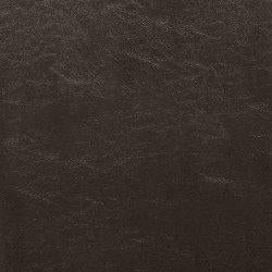 Kimonte Dining Chair - U&U Home Budget Furniture (Carteret, NJ)