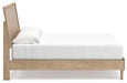 Cielden Bed - U&U Home Budget Furniture (Carteret, NJ)