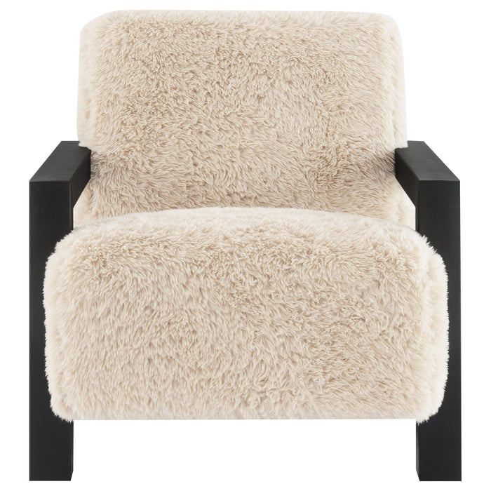 Fitzroy Accent Chairs - U&U Home Budget Furniture (Carteret, NJ)