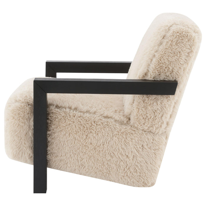 Fitzroy Accent Chairs - U&U Home Budget Furniture (Carteret, NJ)