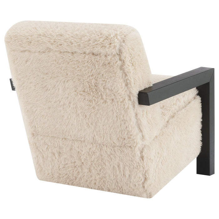 Fitzroy Accent Chairs - U&U Home Budget Furniture (Carteret, NJ)