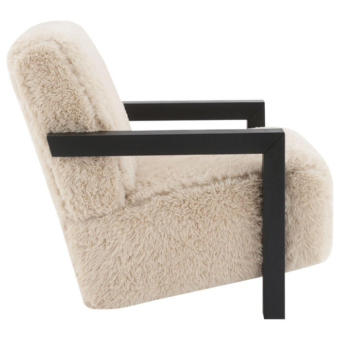 Fitzroy Accent Chairs - U&U Home Budget Furniture (Carteret, NJ)