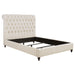 Devon Queen Beds - U&U Home Budget Furniture (Carteret, NJ)