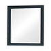 Sandy Beach Vertical Dresser Mirror Black - U&U Home Budget Furniture (Carteret, NJ)