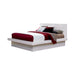 Jessica California King, E.king, & Queen Bed with Storage Headboard Cappuccino - U&U Home Budget Furniture (Carteret, NJ)