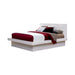 Jessica California King, E.king, & Queen Bed with Storage Headboard Cappuccino - U&U Home Budget Furniture (Carteret, NJ)