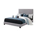 Boyd California King, King, & Queen Upholstered Bed with Nailhead Trim Charcoal & Grey - U&U Home Budget Furniture (Carteret, NJ)
