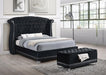 Barzini California King, E.King, & Queen Tufted Upholstered Bed Black - U&U Home Budget Furniture (Carteret, NJ)