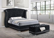 Barzini California King, E.King, & Queen Tufted Upholstered Bed Black - U&U Home Budget Furniture (Carteret, NJ)