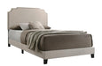 Tamarac Upholstered Nailhead Full, Eastern King & Queen Bed Beige & Grey - U&U Home Budget Furniture (Carteret, NJ)