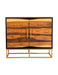 Zara 2-door Accent Cabinet Black Walnut and Gold - U&U Home Budget Furniture (Carteret, NJ)