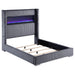 Tisdall California King, E.King & Queen Bed Grey, Black & Queen - U&U Home Budget Furniture (Carteret, NJ)