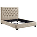 Chloe Queen Beds - U&U Home Budget Furniture (Carteret, NJ)